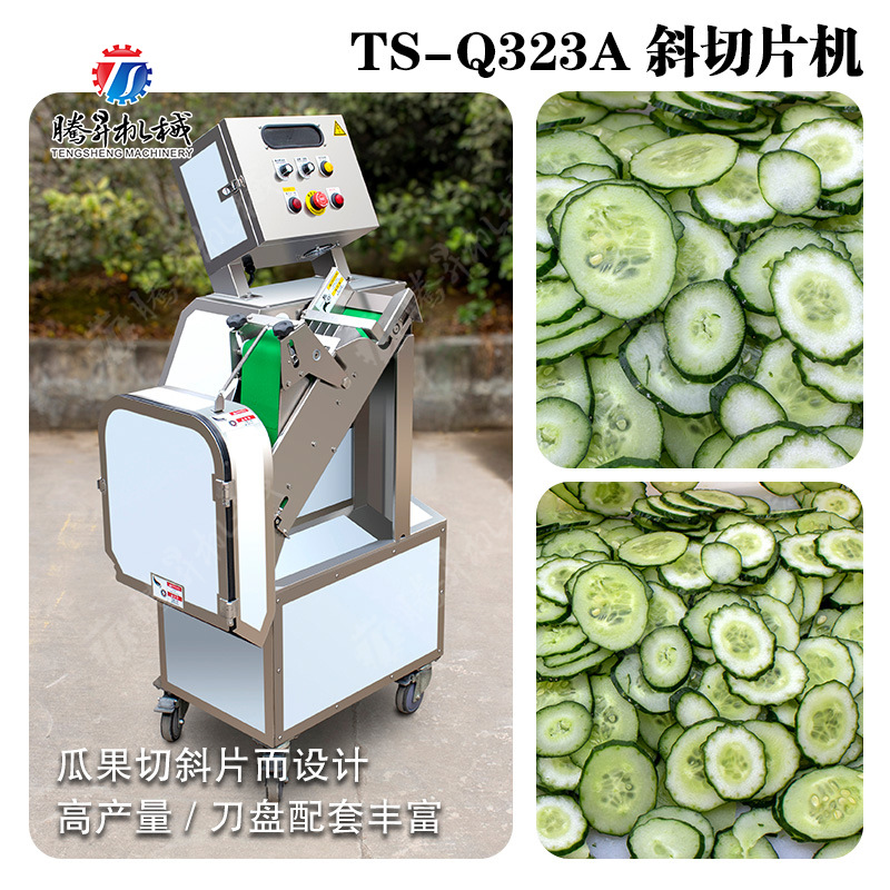 厂家供应黄瓜切斜片机 全自动不锈钢多功能切菜机 切斜片设备