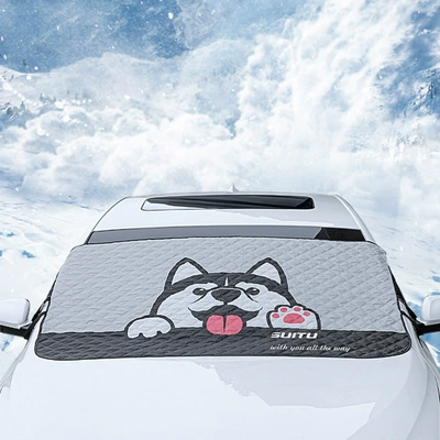 Snow Protection Cloth, Car snow shield
