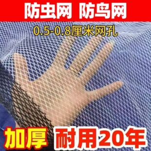 ���S���ƿ羳���x�W�߲˴�����䱣�o�W����ϩ�Bֳ���W���ܷ��B�W