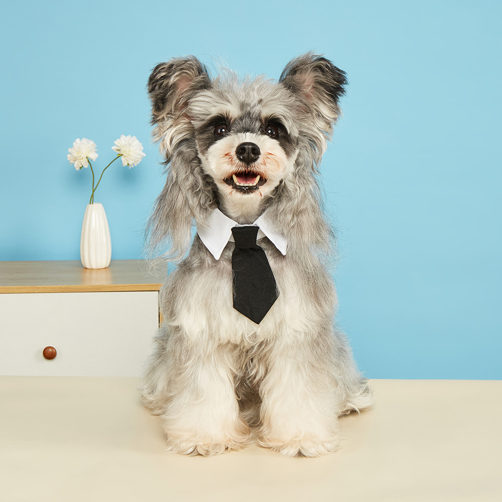 Tanpopo fábrica de nuevos productos guapo mascota corbata de perro velcro ajustable accesorios de mascota corbata de gato