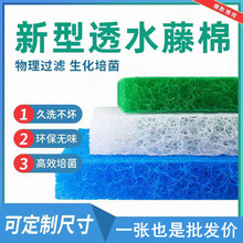 �~���^�V�����{ɫ�����������޳����~��ˮ���B�~������^�V����