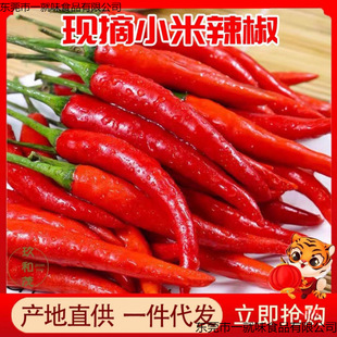 ���r�tС������������һ�����l�����콷��������⽷���l��