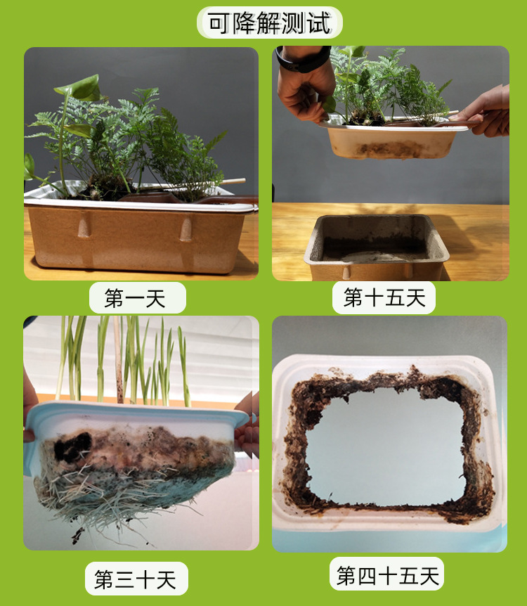 61AC6DCF544441FAF564558931CB44