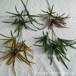 �¿����С�~�ٺ���Gֲ�S��3���m���ݻ�Y·���ٻ����S���l