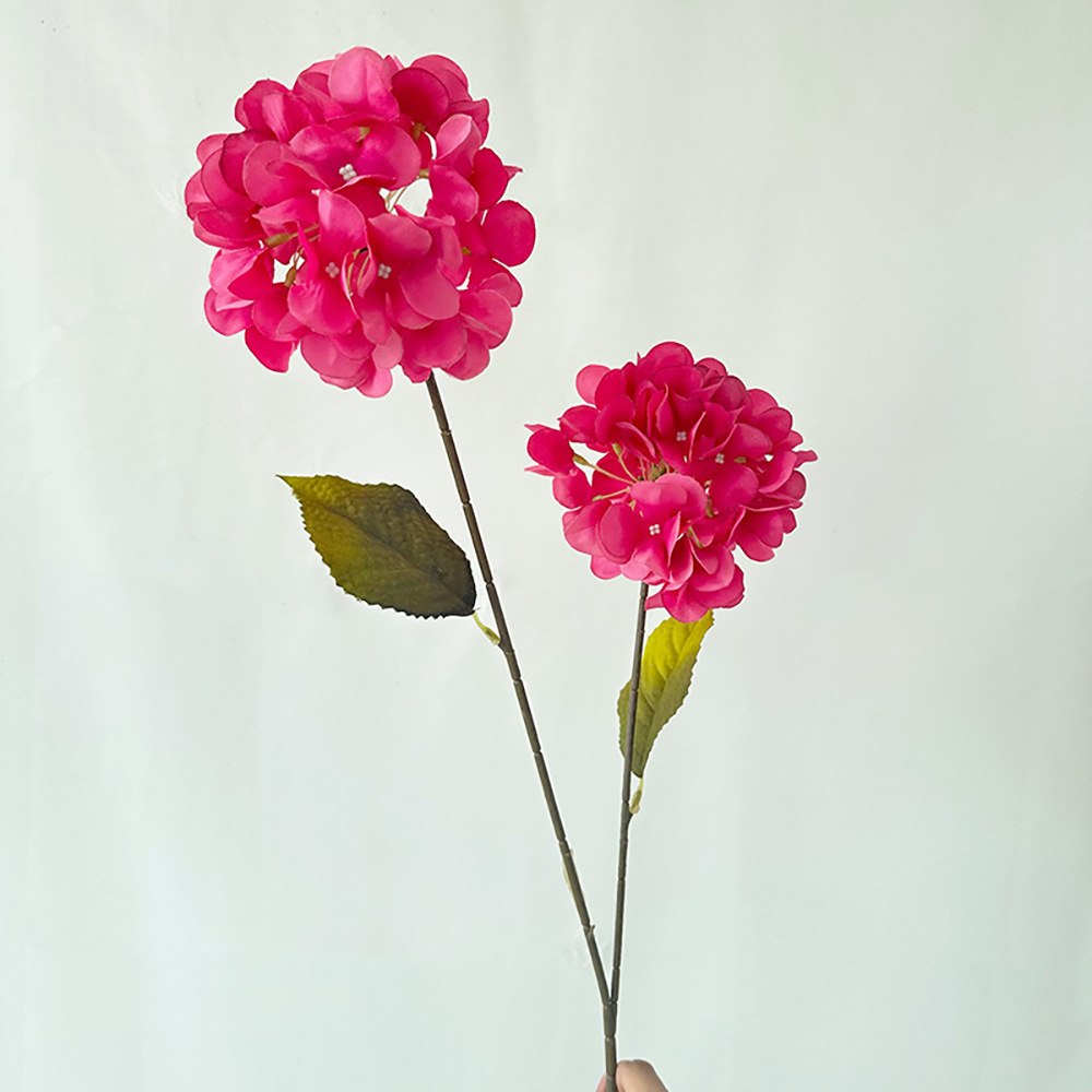 두 끝이 있는 메이이 롤리팝 수국 로즈 레드