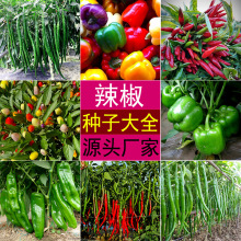 ش𽷷Nྀ˽ţNѴȫ콷t߲˷N