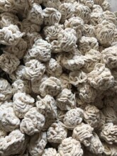 �������hѩ�᠖ԡ��.�ֹ�����ԡ��