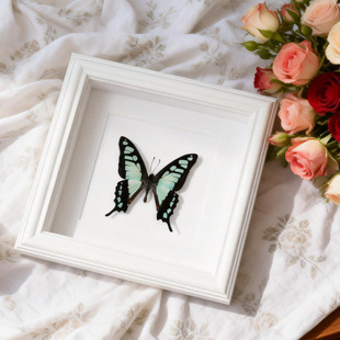 ��Ʒ������˱��������˱����lԴ�^�S�������b����Ĵ��l