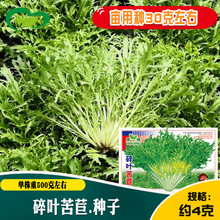 ���~���ķN�� �r��ˈ@�������������~�\�G���~�����߲���