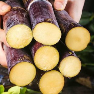 ����9�����F���F�l���ڏV���������rˮ���خa�tƤ��Ƥ5��1��