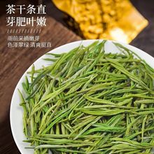 安吉白茶正宗高山2023新茶绿茶明前特级嫩芽珍稀罐装礼盒装125克