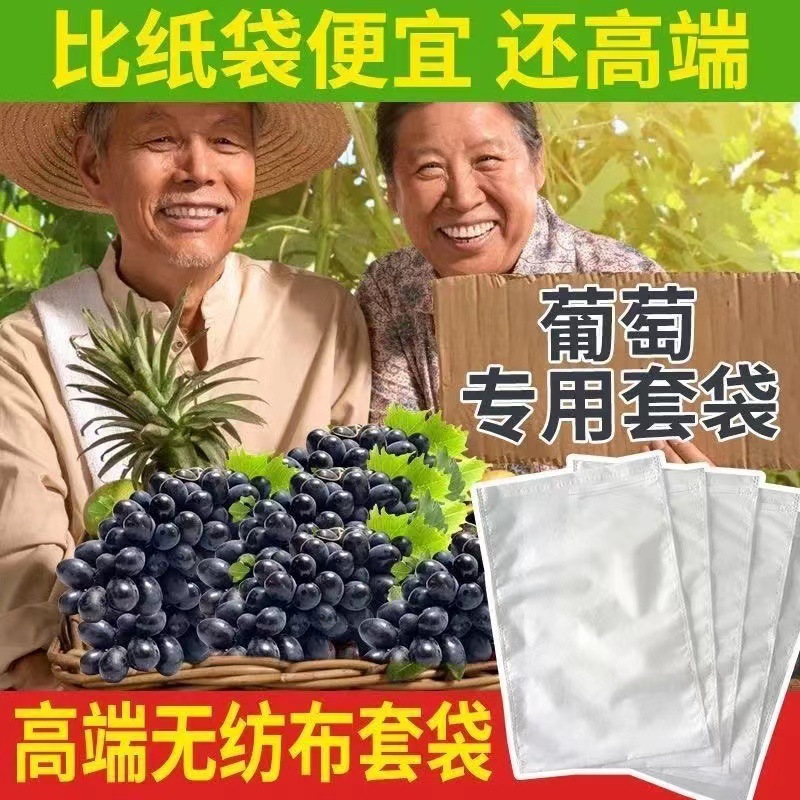 微信图片_20240526101353