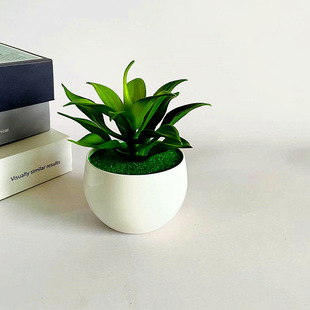 �������ֲ�����Լٻ����Է���Gֲ�[������ʯɏ���辰�羳؛Դ