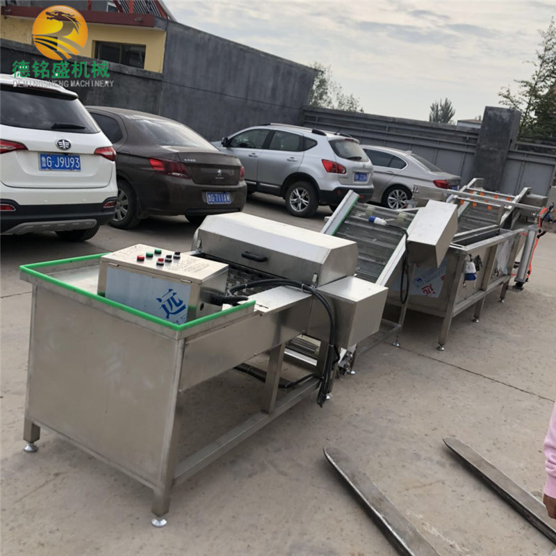 娃娃菜气泡清洗机 不锈钢待提升的水果清洗机 白菜清洗线