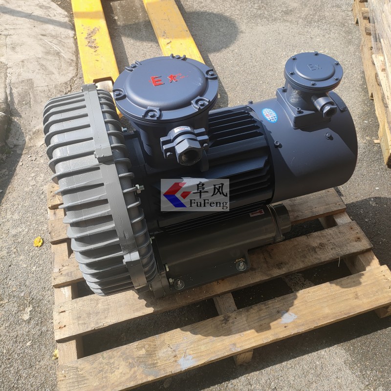 变频防爆鼓风机 高压防爆鼓风机 漩涡环形防爆高压风机 18.5kw