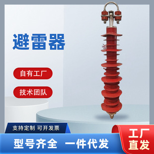 10-220Kv, Pedestal-Type Lightning Arrester, Zinc Oxide Outdoor Lightning Protection Equipment, Shock-Absorbing Outdoor Lightning Protection 3