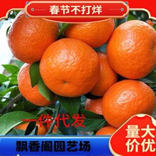 ������Ƥ�۽���޽Ә���С���ٹ���ˮ���������� ����ͥԺ�Nֲ
