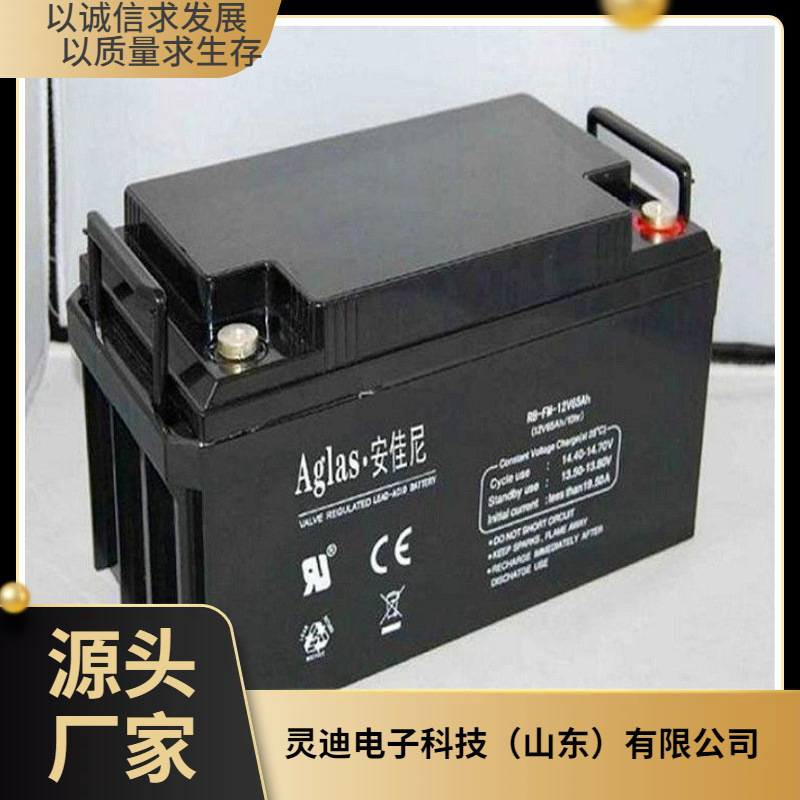 Aglas安佳尼蓄电池RB-FM-12V65AH铅酸免维护UPS蓄电池