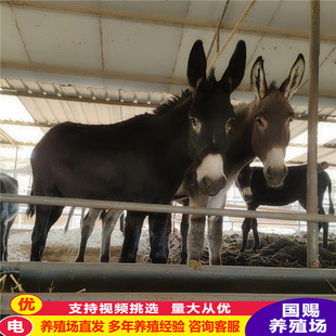 �����H���H��������۞��^�H�����H�������H������С���H