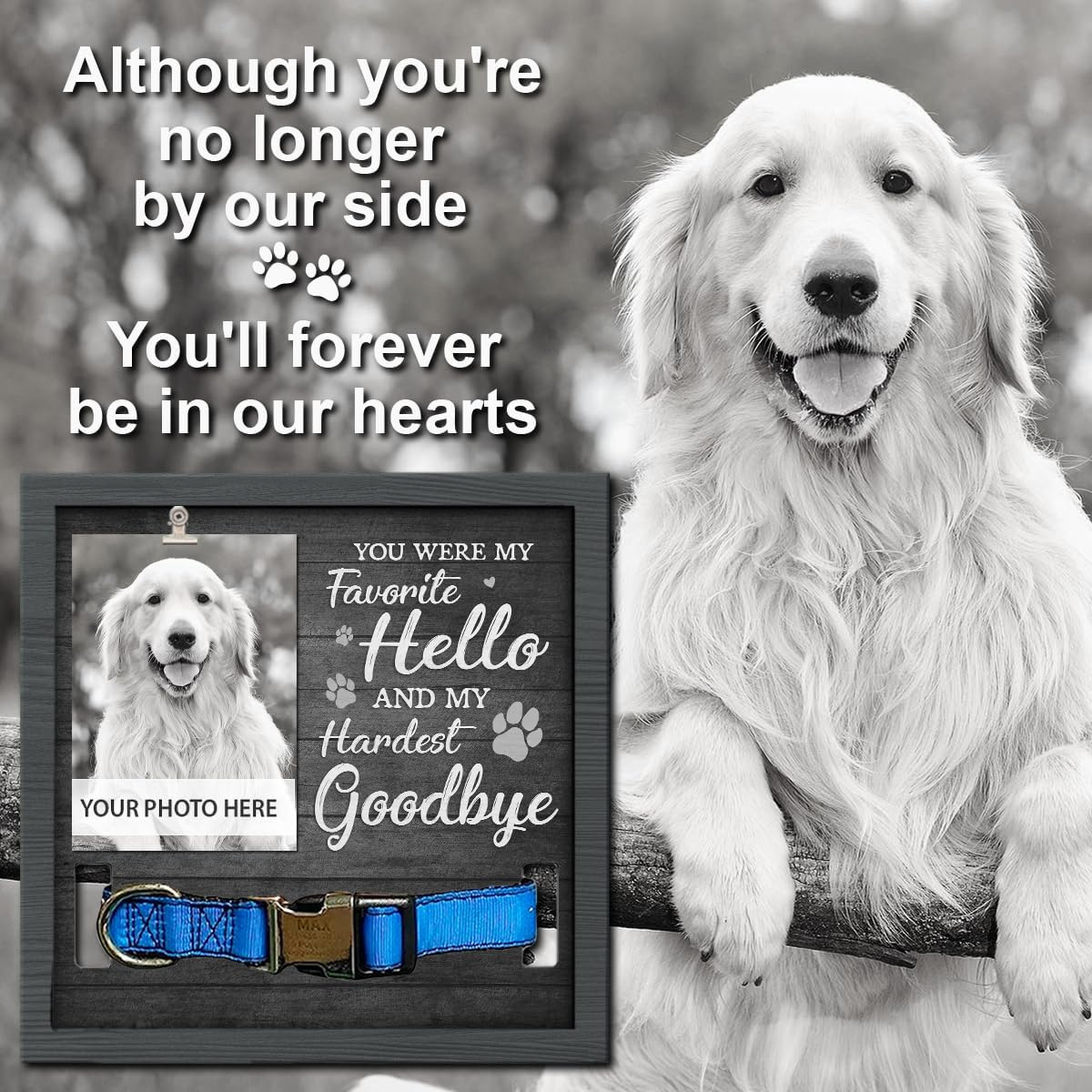 Marco DE FOTOS conmemorativo de la mascota de madera puede sostener el collar tridimensional Mesa PET foto marco madera mascota regalo perdido