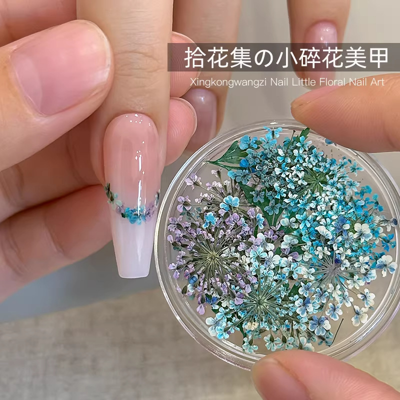 Nail Art Flower Collection Small Floral Pieces 2026 New Spring Colorful Mixed Dried Flowers Mini Ins-Style Nail Decorations Nail Art Flower Collection Small Floral Pieces 2026 New Spring Colorful Mixed Dried Flowers Mini Ins-Style Nail Decorations