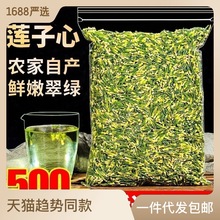 新鲜莲子心500g正品莲子芯正宗新货另售特级野生小包装泡水花草茶