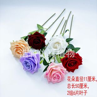 2025���ͷ���õ�廨�羳�Ҿ��bٻ������ٲ����ͻ�c���û���