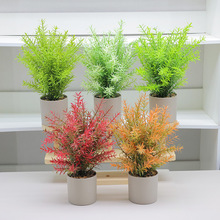 �羳���N���滨�����ȼ����Ե���ٻ��Gֲ���ϻ����T���A���辰