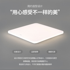 Sanxiong Aurora Soft Snow LED Ceiling Light Engineering Wholesale Master Bedroom Light Dining Room Room Balcony Ceiling Kitchen Light