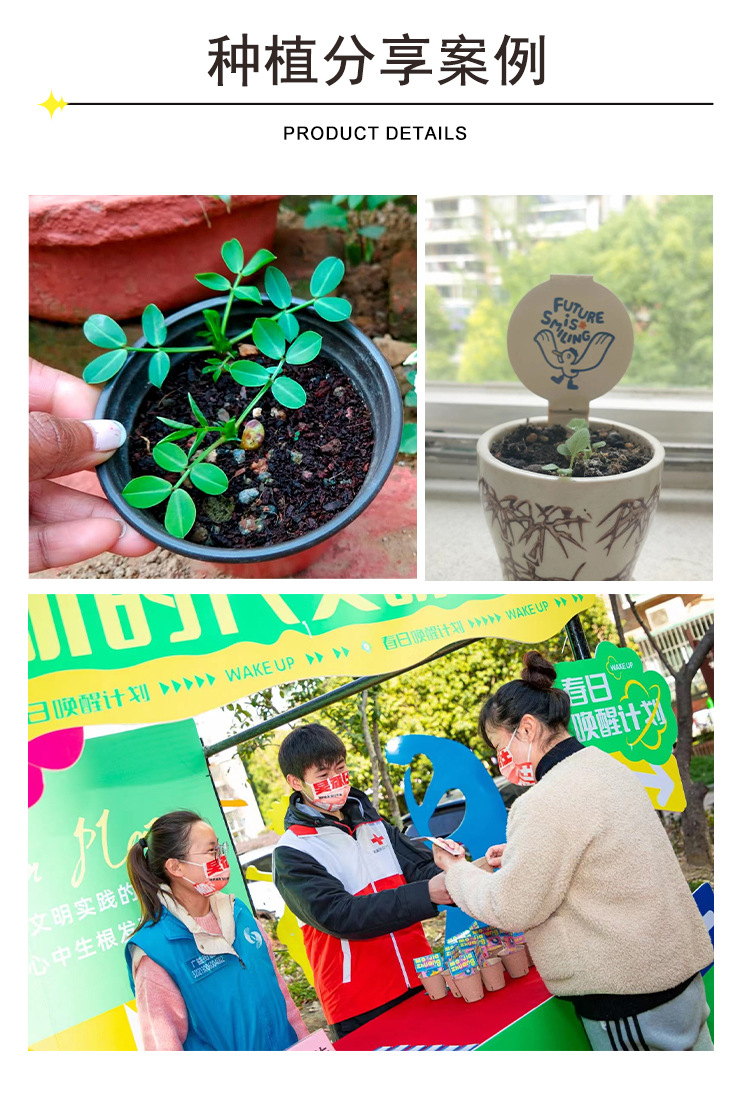 印刷创意种子纸 seedpaepr可种植纪念卡发芽手工特种纸种子纸现货-阿里巴巴
