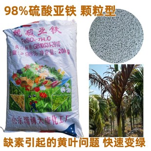 98%���၆�F�w�������S�~��ȱ��֢�����߲��S�~�پG�d�ӻ��廨
