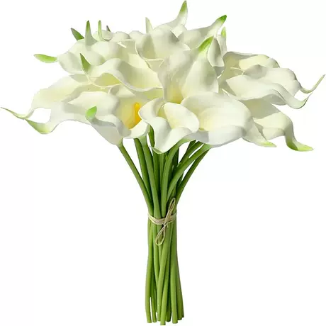White yellow heart (green tail)
