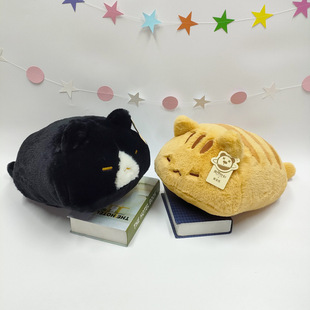 ������ſſ؈��ϵ��ë�q���������������؈�乫�п��|��ͯ���