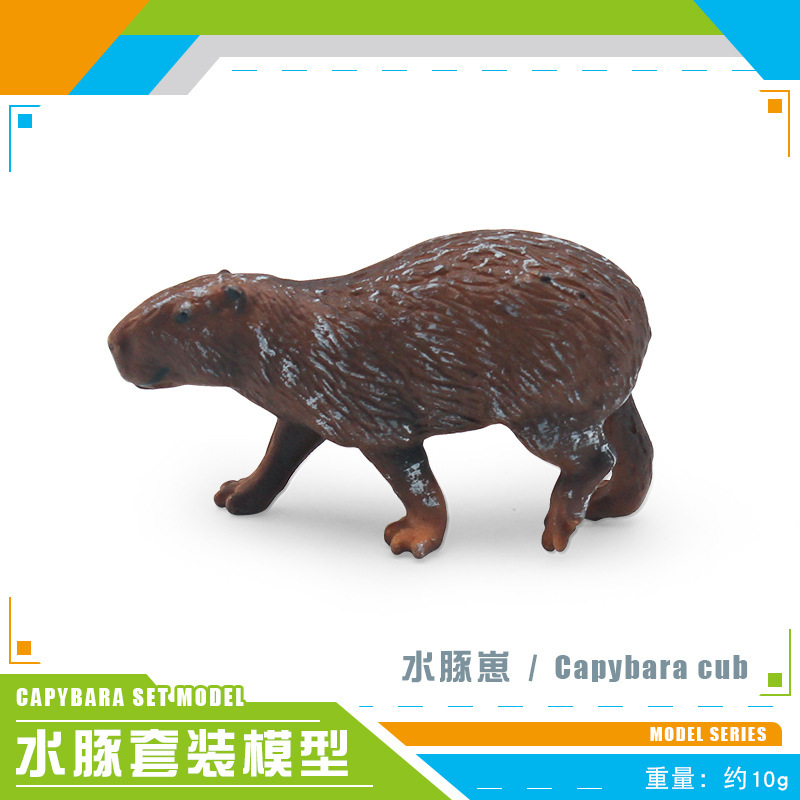 Simulación transfronteriza de animales forestales modelo de delfín de agua cognitivo infantil delfín de agua decoración de plástico estático juguete de decoración de mesa