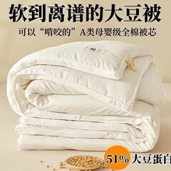 A类大豆纤维被子四季通用空调被春秋被被芯纯棉加厚冬被床上用品