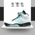 Aj5 guo ailun snow leopard