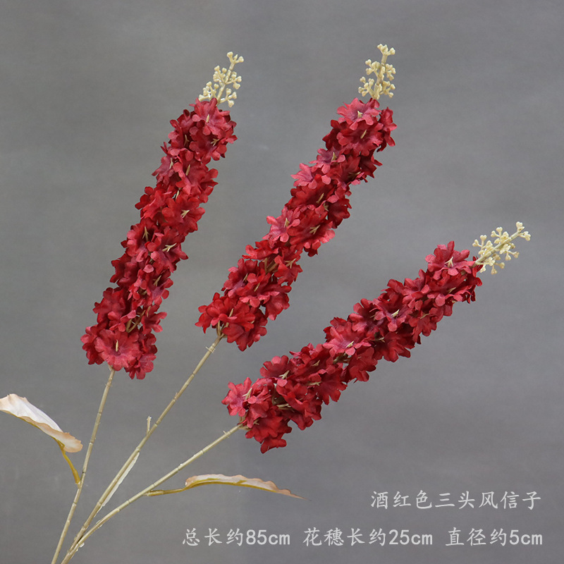 세 개의 머리를 가진 부르고뉴 히아신스의 가지