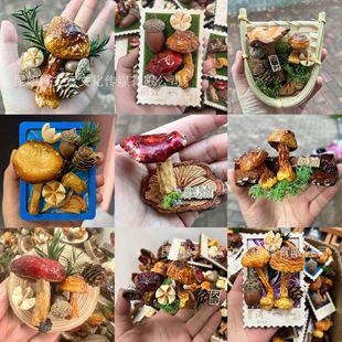 ��ϴ��������Ą����μo������N������ɫ����Ģ�����������N���l