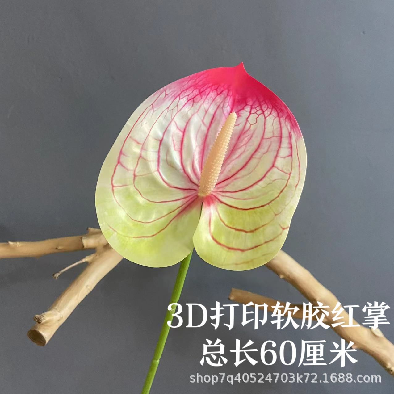 색상 번호 10