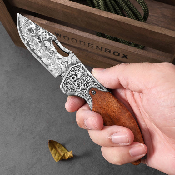 Damascus Knife 67 Layer Fruit Knife Portable Outdoor Camping Survival Knife Folding Peel Eating Knife