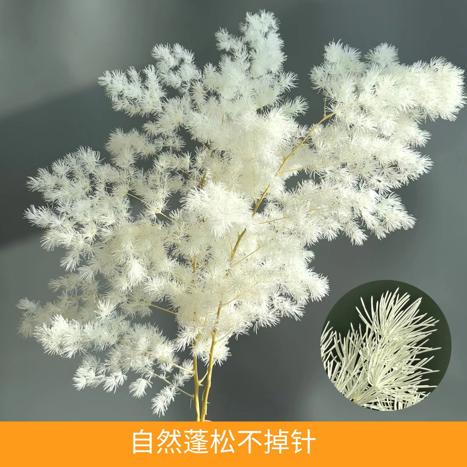 永生花蓬莱松干花花束真花diy配材婚庆装饰软装跨境货源厂家批发