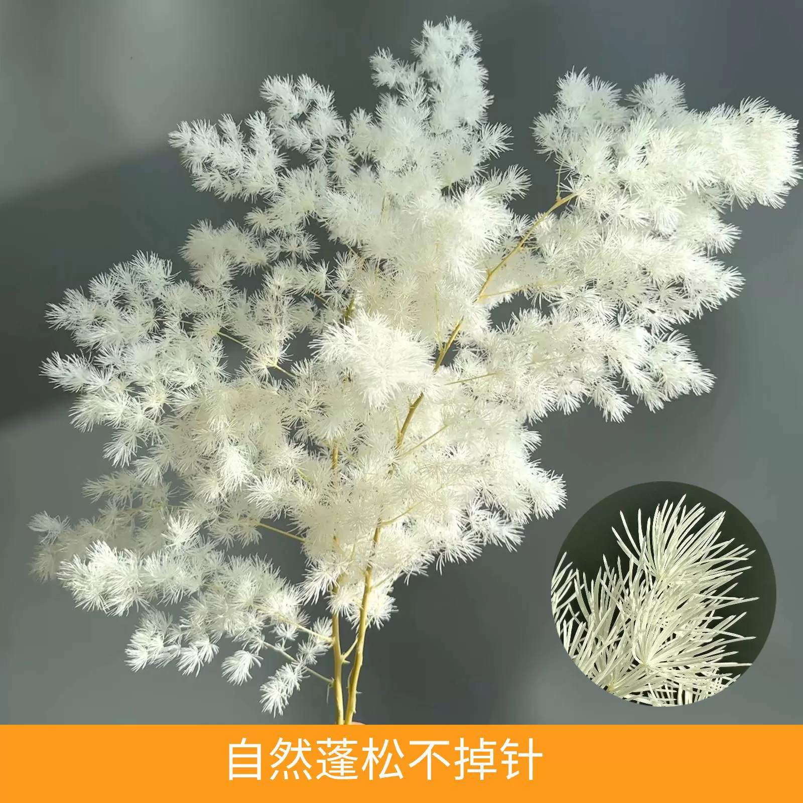 永生花蓬莱松干花花束真花diy配材婚庆装饰软装跨境货源厂家批发