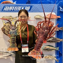 大龙虾模型澳龙青龙古巴龙波龙红龙多款式海鲜道具展台摆设品其他