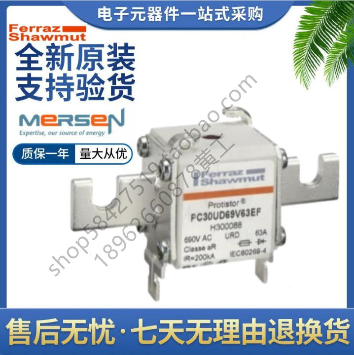 FERRAZ 熔断器 PC30UD69V125EF L300091 PC30UD69V160EF M300092