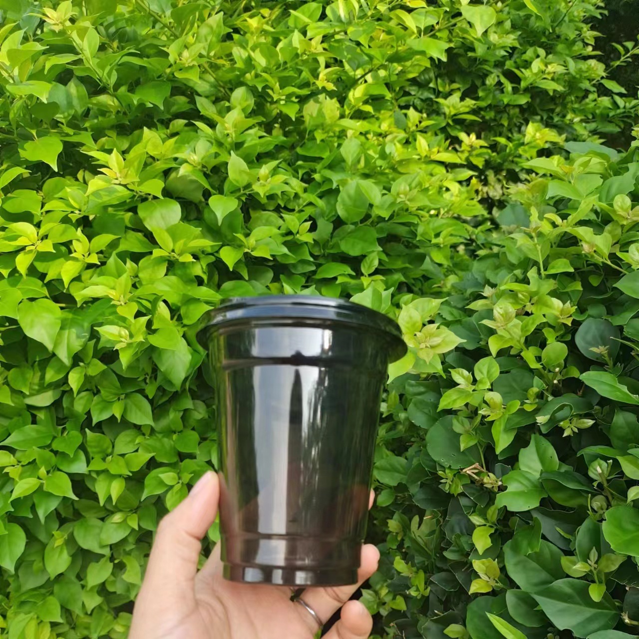 92口径420杯一次性PET透黑色咖啡杯一次性冷饮奶茶杯带盖可定LOGO