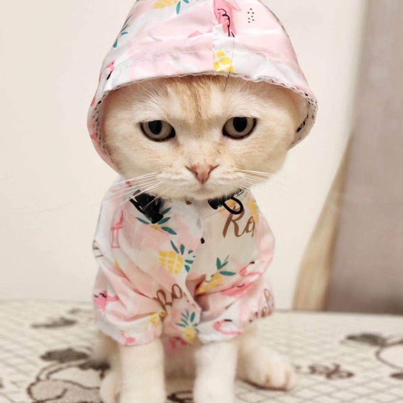 犬のレインコートのテディは熊のコーキのレインコートのペットの服の金毛のサモエの新型のレインコートの犬の用品の猫の服を比べます。|undefined