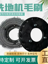 通用型洗地机刷盘刷子洁凯驰高MEI 爱瑞特力等拖地机地刷毛刷