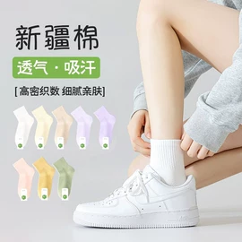 丝袜;连裤袜打底袜;运动休闲棉袜