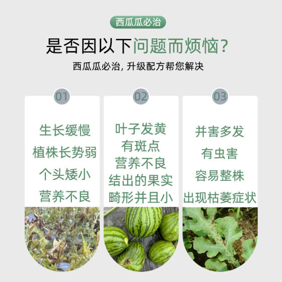 Watermelon Melon Bizhi Foliar Special Fertilizer Weak Seedling Melon Melon Melon Hami Melon Watermelon Universal Foliar Fertilizer Water-soluble Fertilizer