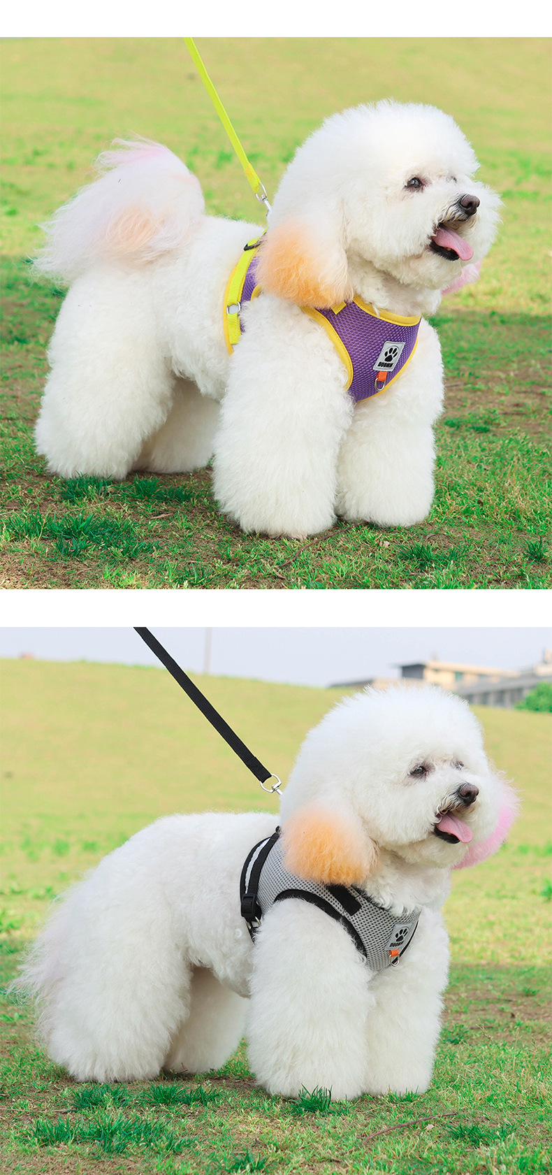 All Seasons Season Fashion Style Fashion Polyester Color Block Leash 1 Piece